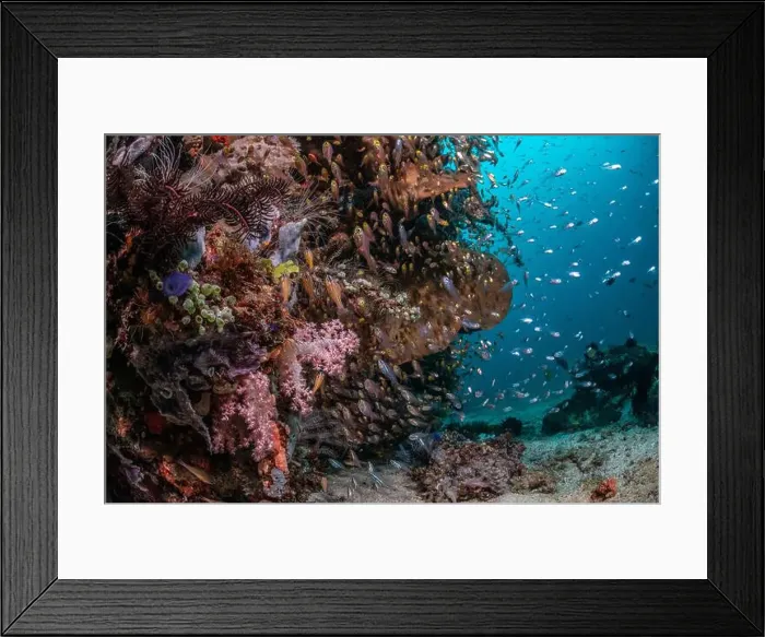 Framed Print : Reefscape - Bangka Island Framed Print : Reefscape - Bangka Island