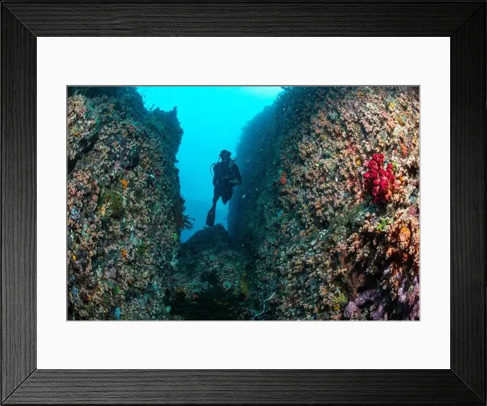 Framed Print : Reefscape - Bangka Island Framed Print : Reefscape - Bangka Island