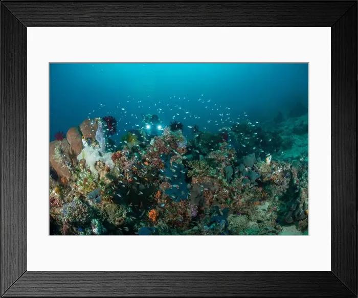 Framed Print : Reefscape - Bangka Island Framed Print : Reefscape - Bangka Island