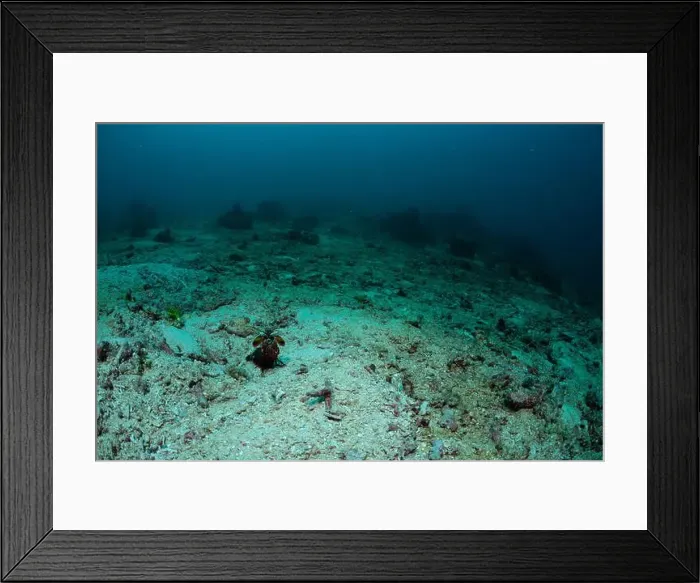 Framed Print : Reefscape - Bangka Island Framed Print : Reefscape - Bangka Island