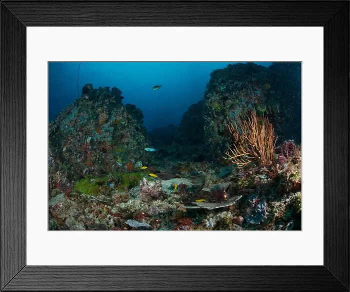 Framed Print : Reefscape - Bangka Island Framed Print : Reefscape - Bangka Island