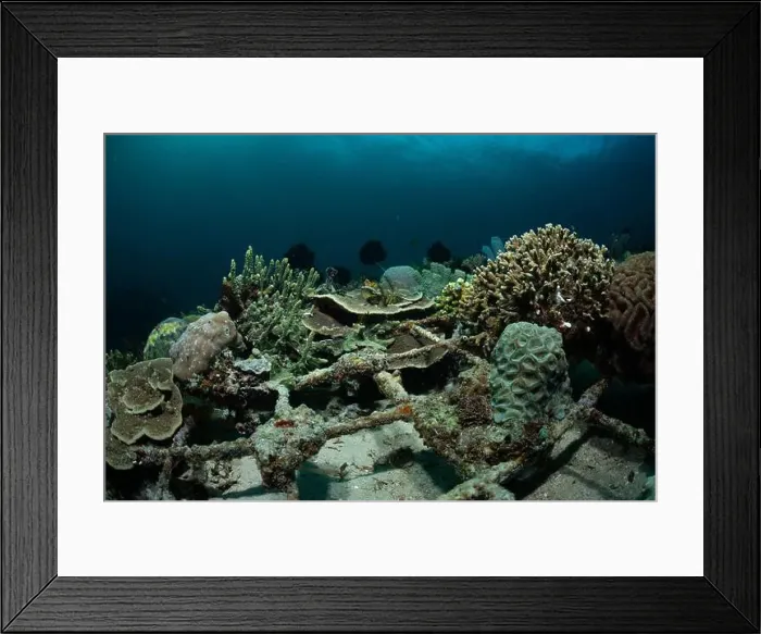Framed Print : Reefscape - Bangka Island Framed Print : Reefscape - Bangka Island