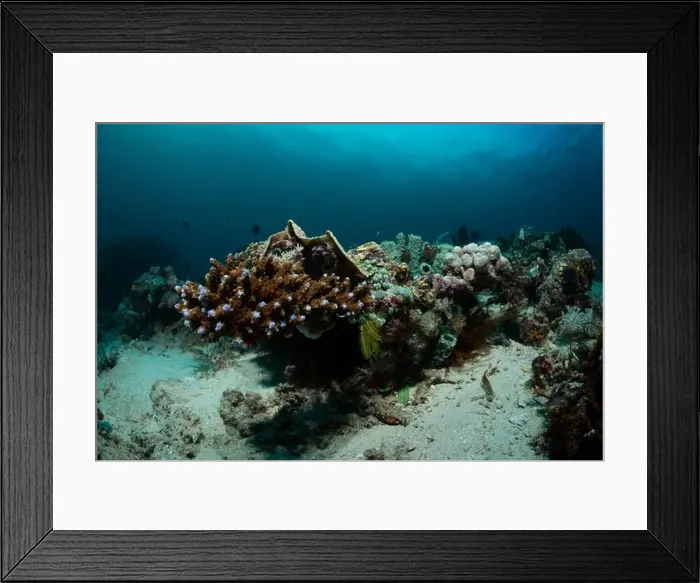 Framed Print : Reefscape - Bangka Island Framed Print : Reefscape - Bangka Island