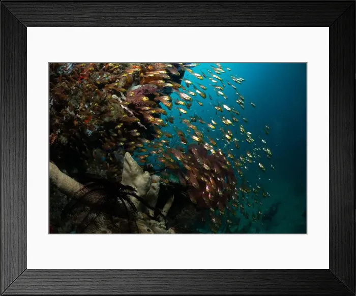 Framed Print : Reefscape - Bangka Island Framed Print : Reefscape - Bangka Island