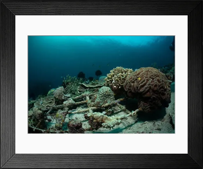 Framed Print : Reefscape - Bangka Island Framed Print : Reefscape - Bangka Island