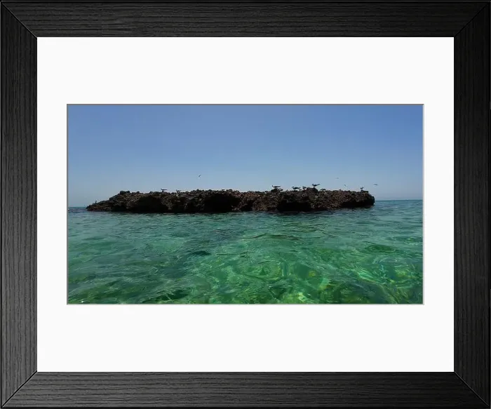 Framed Print : Photography small rock island with birds in Oman near Muscat during spring sunny day Framed Print : Photography small rock island with birds in Oman near Muscat during spring sunny day