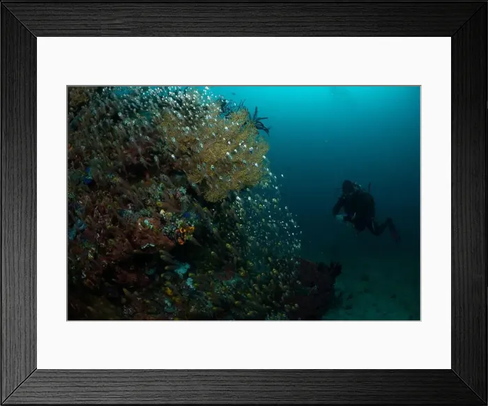 Framed Print : Reefscape - Bangka Island Framed Print : Reefscape - Bangka Island