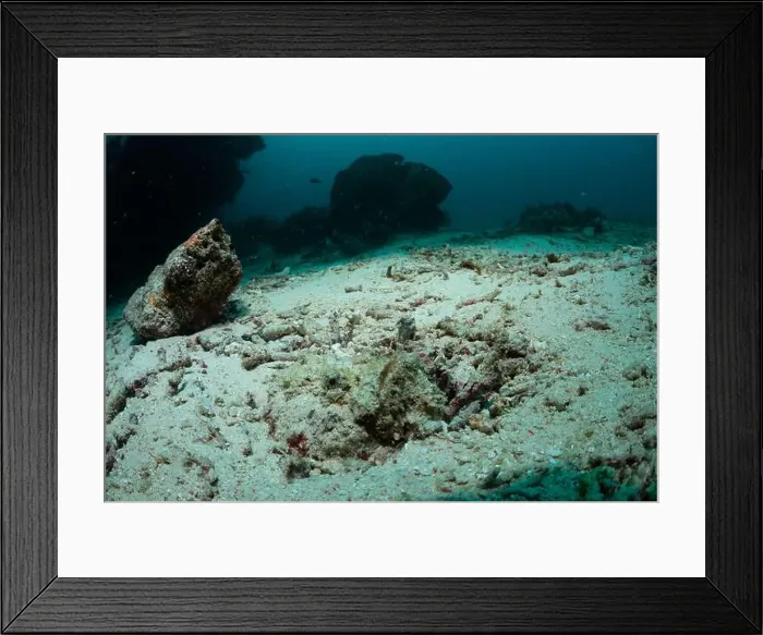 Framed Print : Reefscape - Bangka Island Framed Print : Reefscape - Bangka Island
