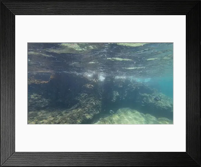 Framed Print : Photography of fish and corals in Oman near Muscat during spring sunny day Framed Print : Photography of fish and corals in Oman near Muscat during spring sunny day