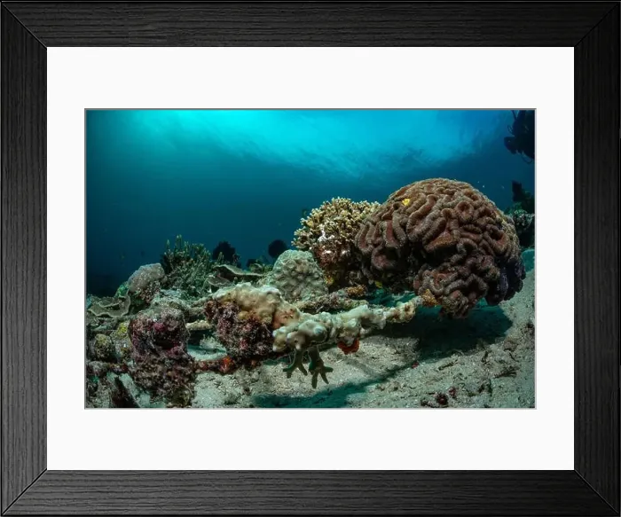 Framed Print : Reefscape - Bangka Island Framed Print : Reefscape - Bangka Island