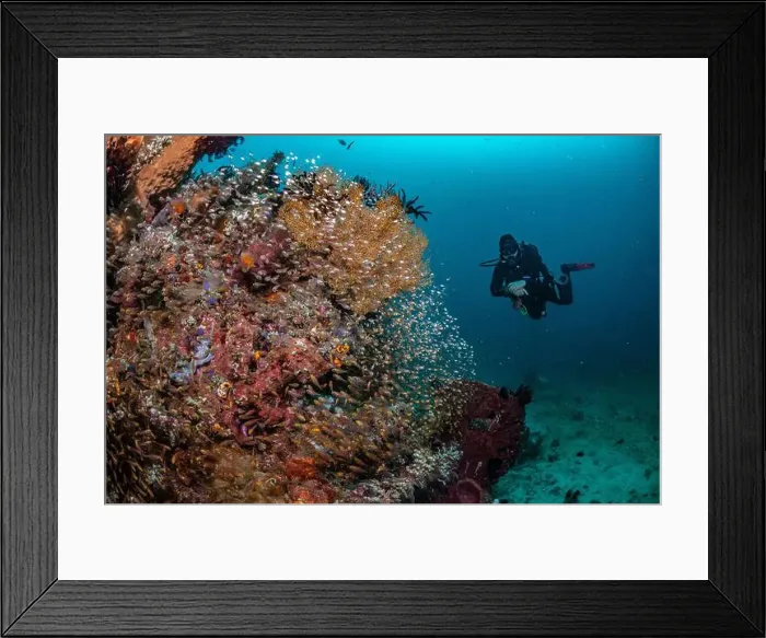 Framed Print : Reefscape - Bangka Island Framed Print : Reefscape - Bangka Island
