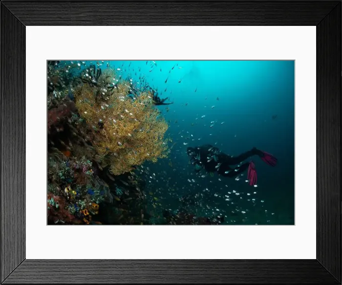 Framed Print : Reefscape - Bangka Island Framed Print : Reefscape - Bangka Island