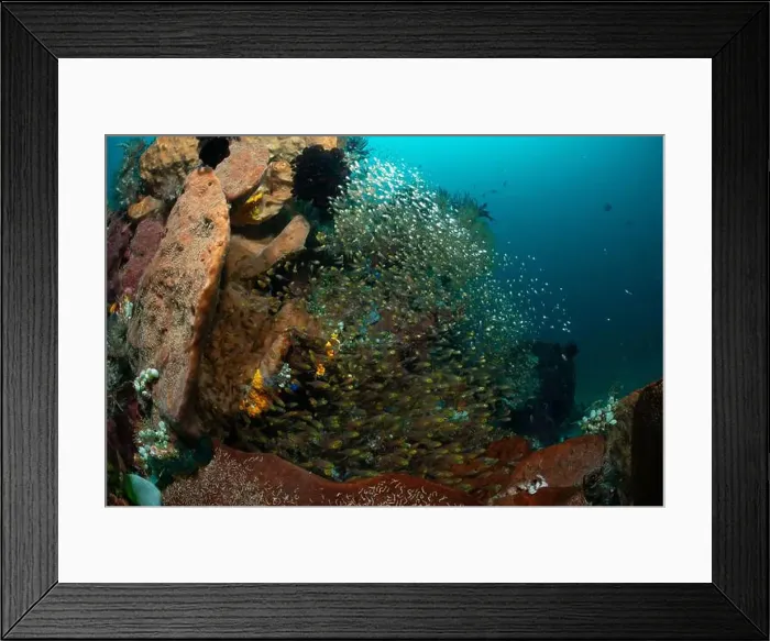 Framed Print : Reefscape - Bangka Island Framed Print : Reefscape - Bangka Island
