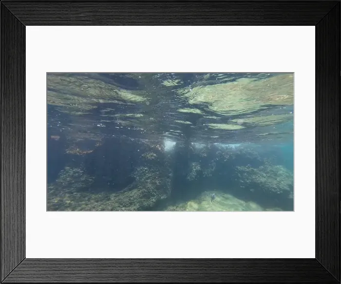 Framed Print : Photography of fish and corals in Oman near Muscat during spring sunny day Framed Print : Photography of fish and corals in Oman near Muscat during spring sunny day
