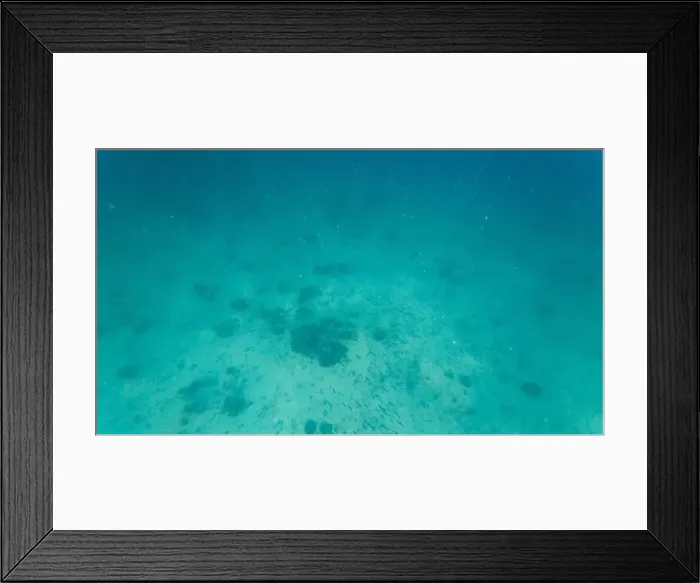Framed Print : Photography of fish and corals in Oman near Muscat during spring sunny day