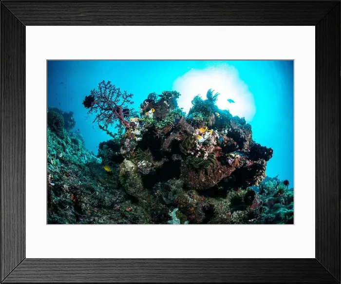 Framed Print : Reefscape - Bangka Island Framed Print : Reefscape - Bangka Island