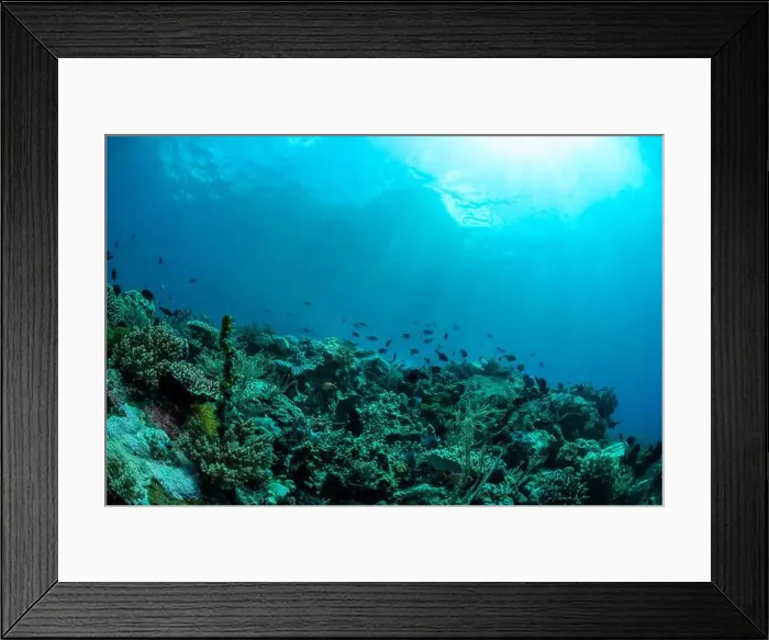 Framed Print : Reefscape - Bangka Island Framed Print : Reefscape - Bangka Island