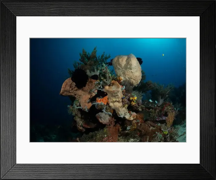 Framed Print : Reefscape - Bangka Island Framed Print : Reefscape - Bangka Island