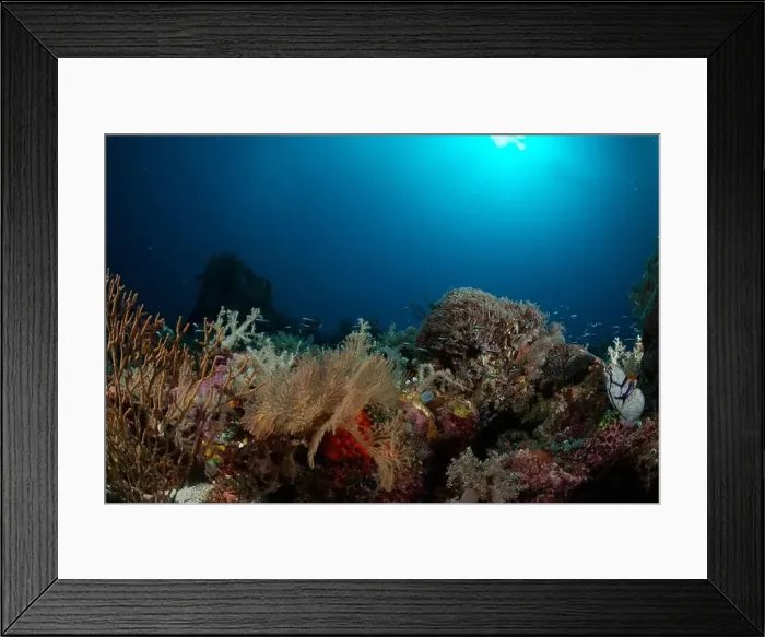 Framed Print : Reefscape - Bangka Island Framed Print : Reefscape - Bangka Island