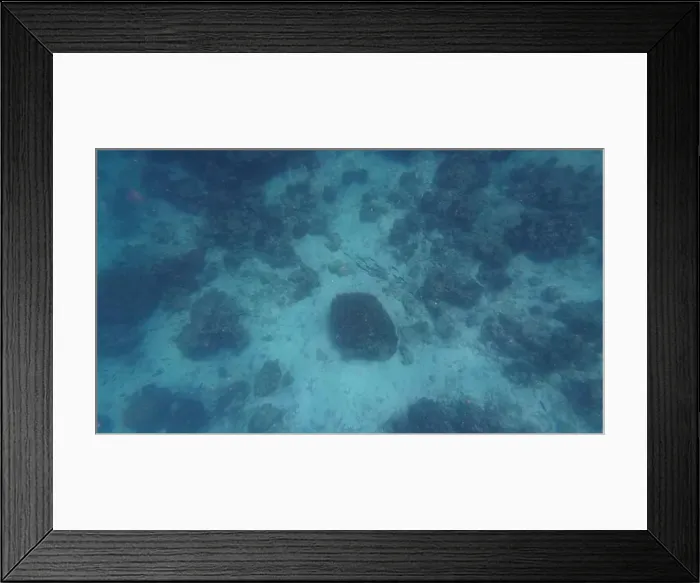 Framed Print : Photography of fish and corals in Oman near Muscat during spring sunny day Framed Print : Photography of fish and corals in Oman near Muscat during spring sunny day