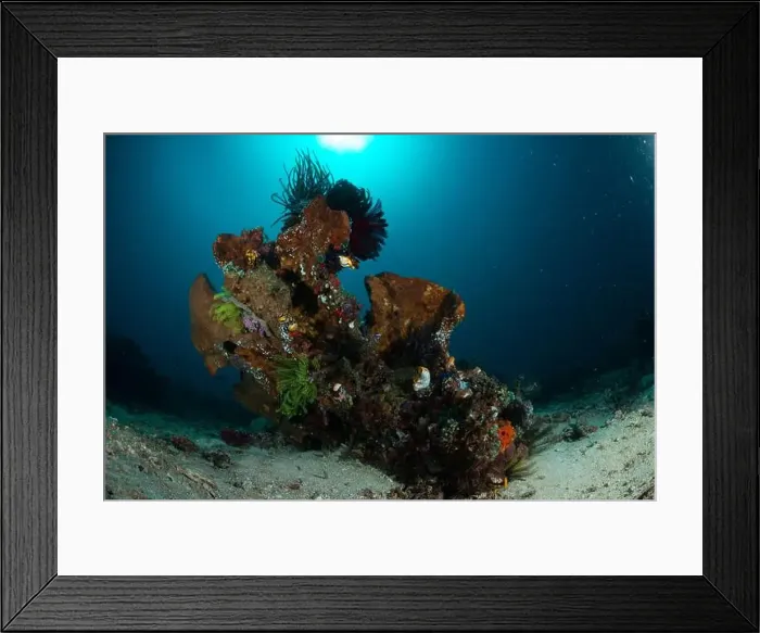 Framed Print : Reefscape - Bangka Island Framed Print : Reefscape - Bangka Island