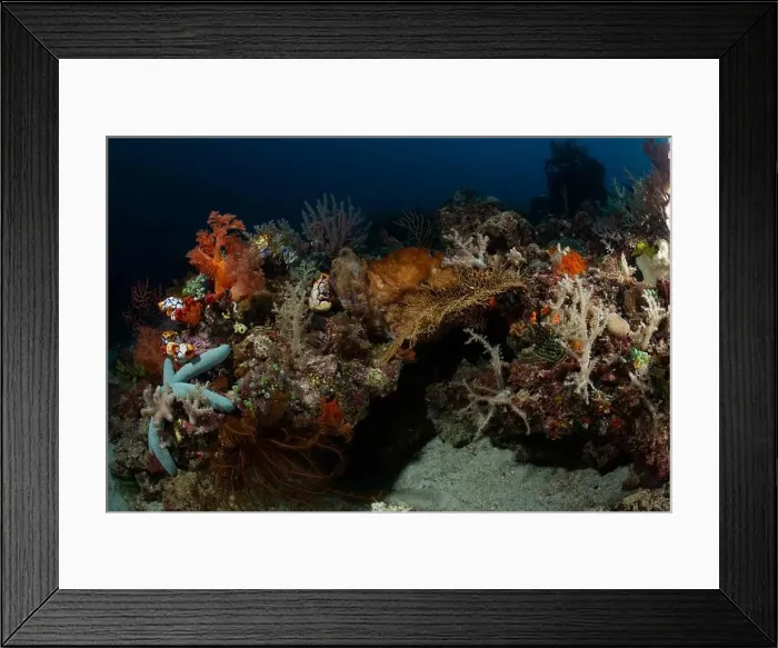 Framed Print : Reefscape - Bangka Island Framed Print : Reefscape - Bangka Island