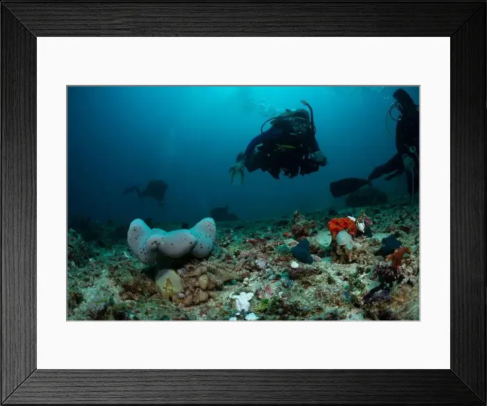 Framed Print : Reefscape - Bangka Island Framed Print : Reefscape - Bangka Island