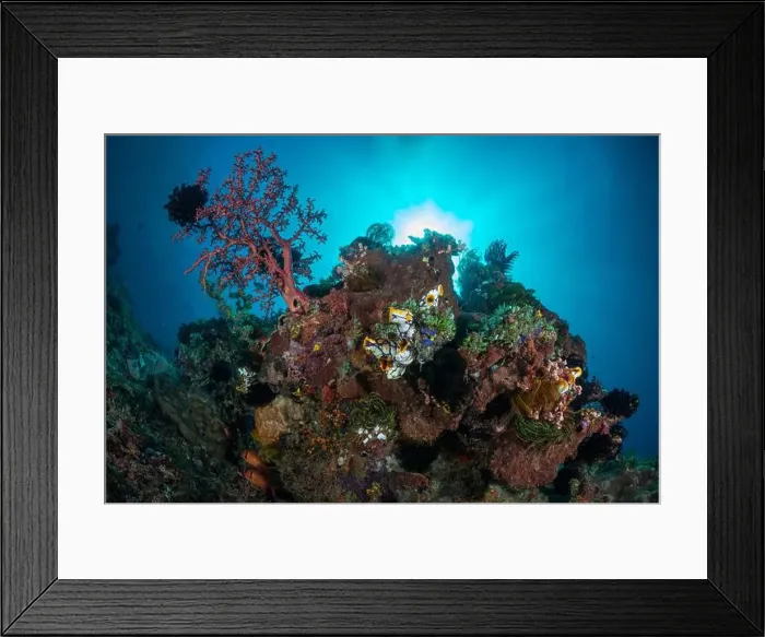 Framed Print : Reefscape - Bangka Island Framed Print : Reefscape - Bangka Island