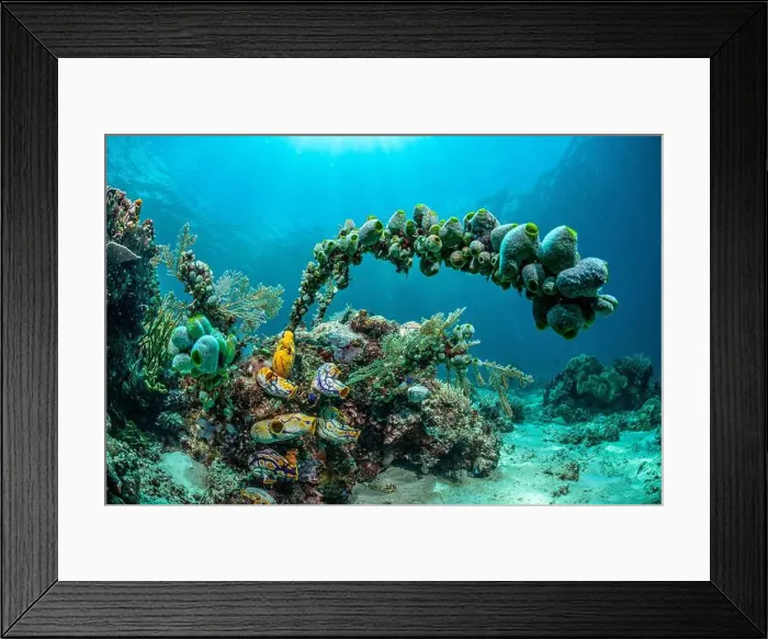Framed Print : Reefscape - Bangka Island Framed Print : Reefscape - Bangka Island