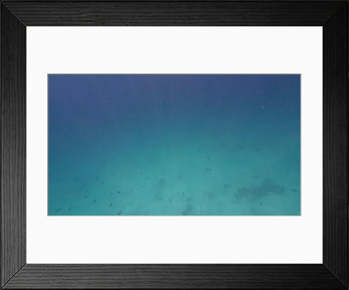 Framed Print : Photography of fish and corals in Oman near Muscat during spring sunny day Framed Print : Photography of fish and corals in Oman near Muscat during spring sunny day