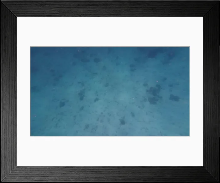 Framed Print : Photography of fish and corals in Oman near Muscat during spring sunny day Framed Print : Photography of fish and corals in Oman near Muscat during spring sunny day