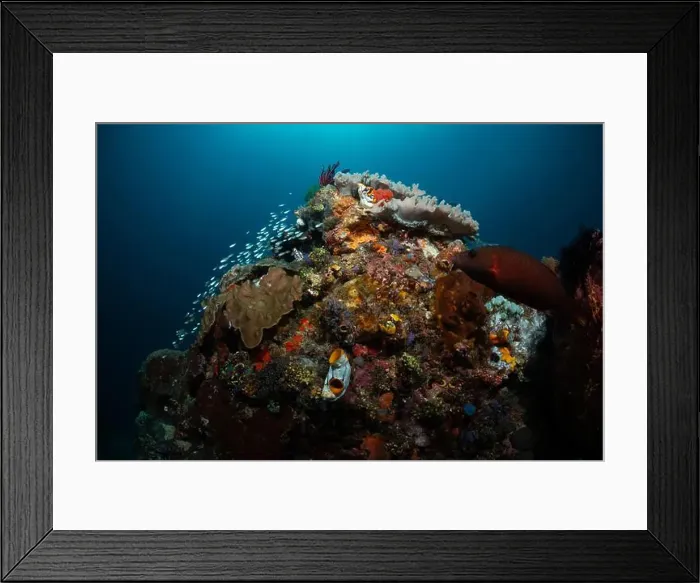 Framed Print : Reefscape - Bangka Island Framed Print : Reefscape - Bangka Island