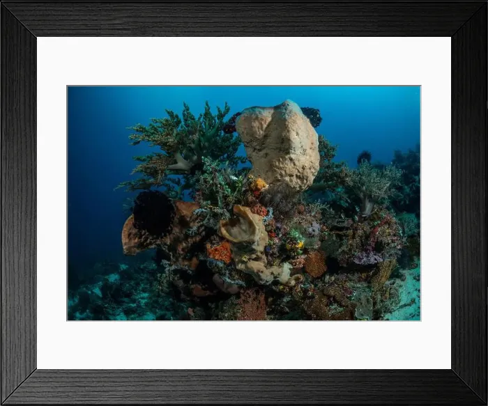 Framed Print : Reefscape - Bangka Island Framed Print : Reefscape - Bangka Island