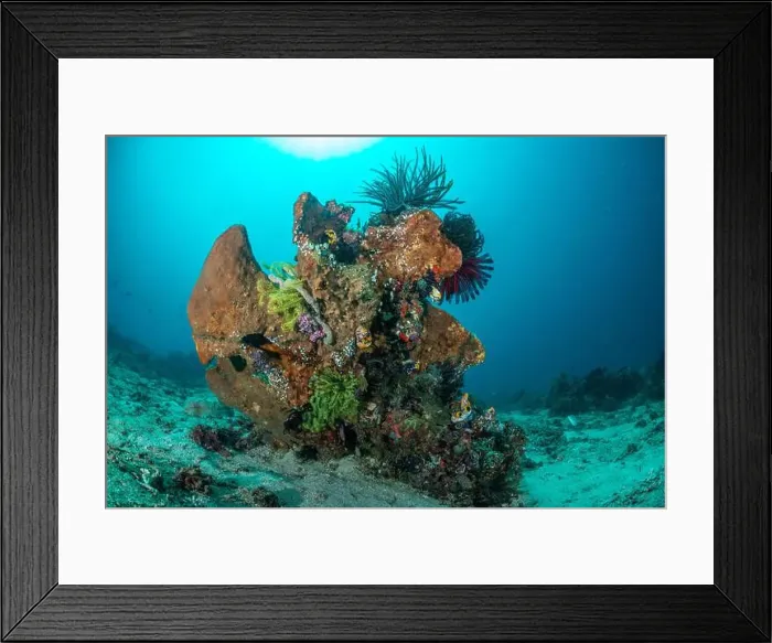 Framed Print : Reefscape - Bangka Island Framed Print : Reefscape - Bangka Island