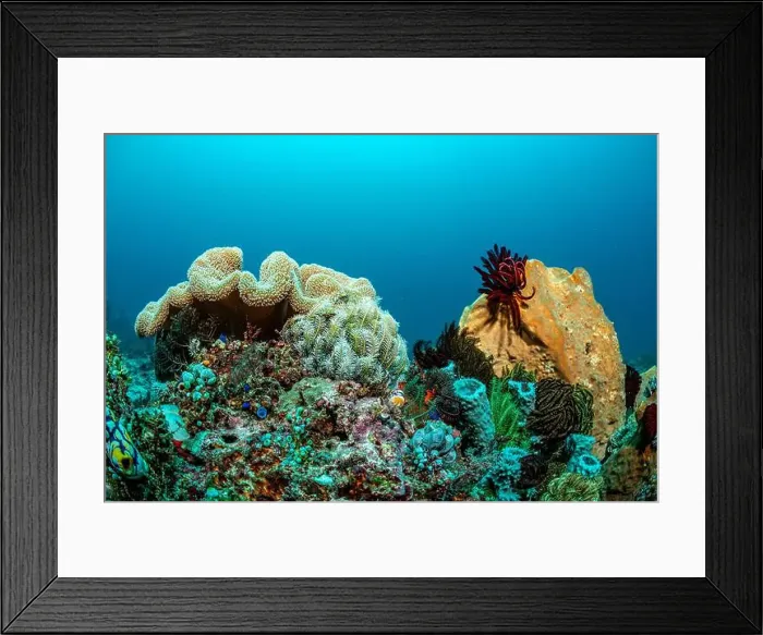 Framed Print : Reefscape - Bangka Island Framed Print : Reefscape - Bangka Island
