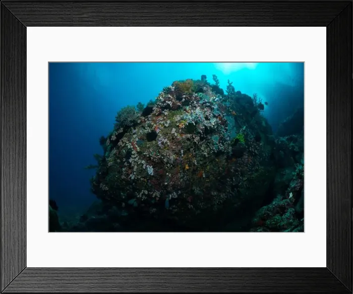 Framed Print : Reefscape - Bangka Island Framed Print : Reefscape - Bangka Island