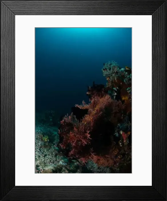 Framed Print : Reefscape - Bangka Island Framed Print : Reefscape - Bangka Island