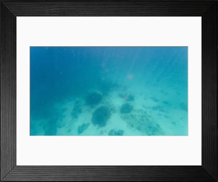 Framed Print : Photography of fish and corals in Oman near Muscat during spring sunny day Framed Print : Photography of fish and corals in Oman near Muscat during spring sunny day