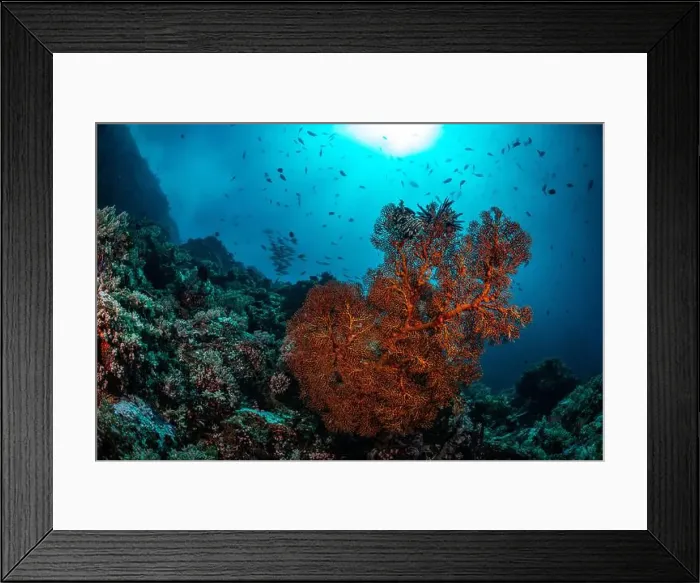 Framed Print : Reefscape - Bangka Island Framed Print : Reefscape - Bangka Island