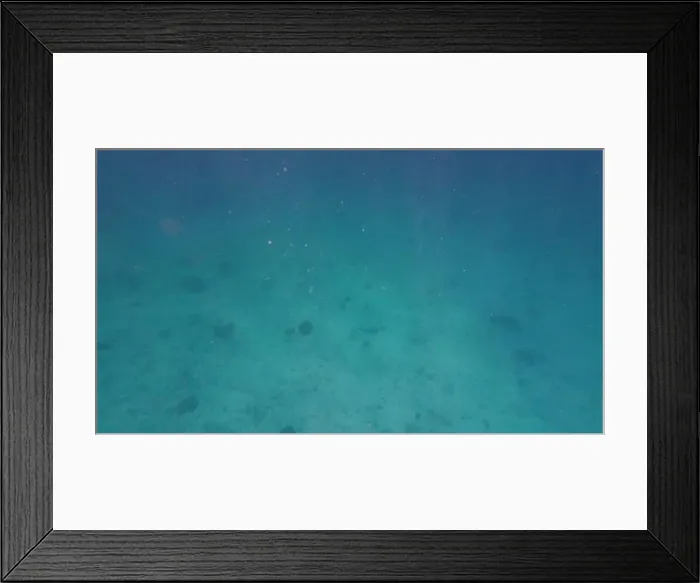 Framed Print : Photography of fish and corals in Oman near Muscat during spring sunny day Framed Print : Photography of fish and corals in Oman near Muscat during spring sunny day