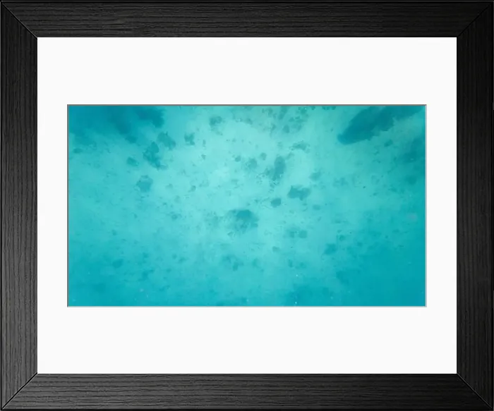 Framed Print : Photography of fish and corals in Oman near Muscat during spring sunny day Framed Print : Photography of fish and corals in Oman near Muscat during spring sunny day