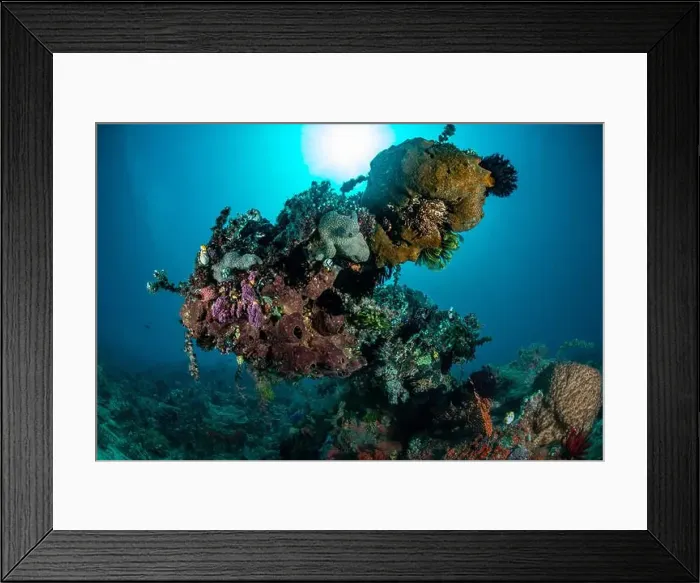 Framed Print : Reefscape - Bangka Island Framed Print : Reefscape - Bangka Island
