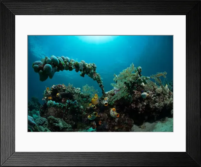 Framed Print : Reefscape - Bangka Island Framed Print : Reefscape - Bangka Island