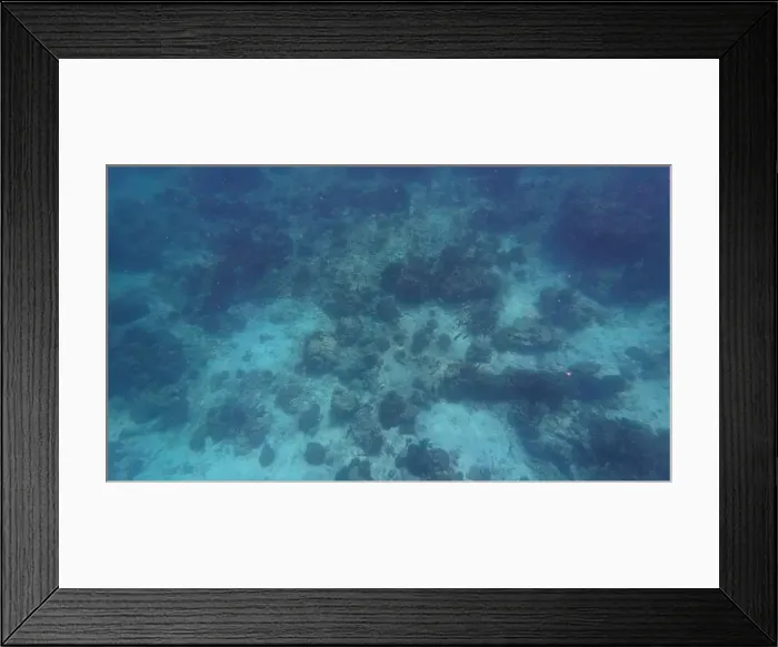 Framed Print : Photography of fish and corals in Oman near Muscat during spring sunny day Framed Print : Photography of fish and corals in Oman near Muscat during spring sunny day