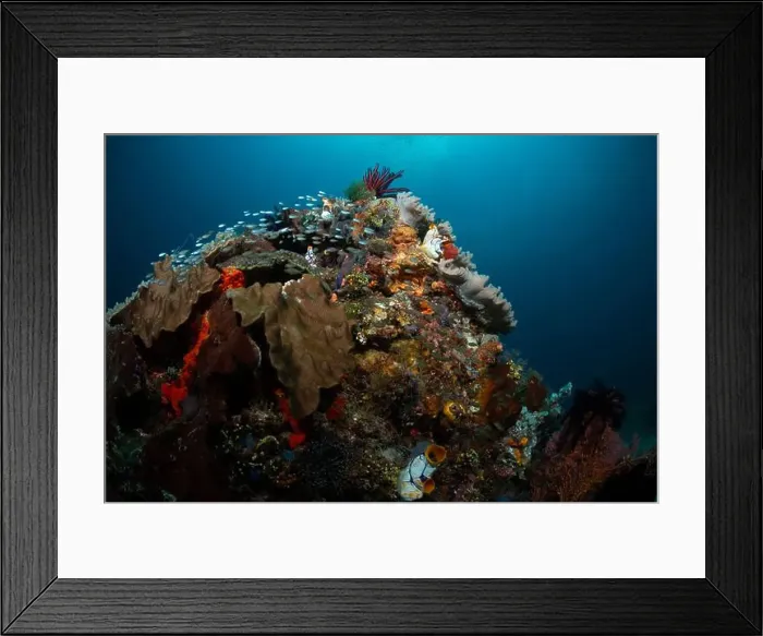 Framed Print : Reefscape - Bangka Island Framed Print : Reefscape - Bangka Island