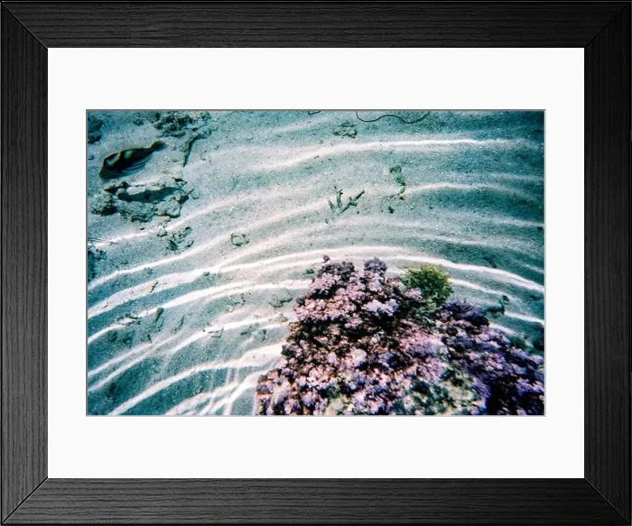 Framed Print : Underwater scene with a coral formation surrounded by sand and a solitary fish swimming above Framed Print : Underwater scene with a coral formation surrounded by sand and a solitary fish swimming above