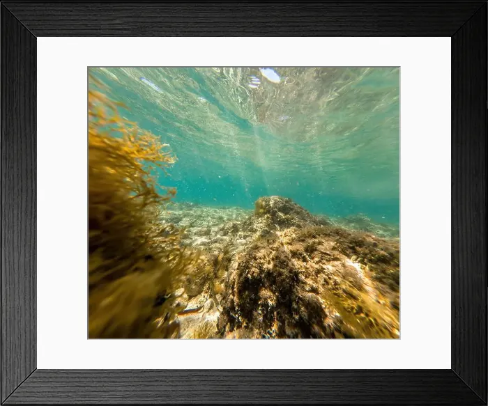 Framed Print : Actioncam underwater seascape capture during snorkeling at croatia, adriatic sea Framed Print : Actioncam underwater seascape capture during snorkeling at croatia, adriatic sea