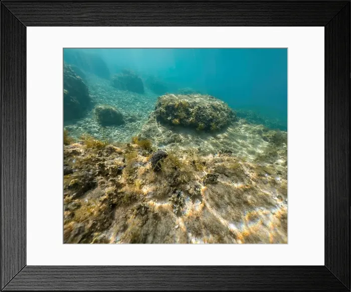 Framed Print : Actioncam underwater seascape capture during snorkeling at croatia, adriatic sea Framed Print : Actioncam underwater seascape capture during snorkeling at croatia, adriatic sea