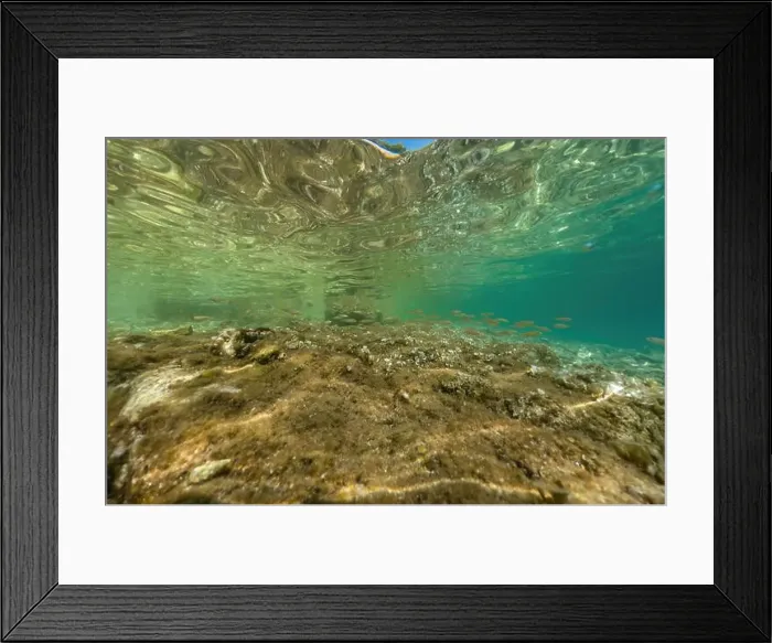 Framed Print : Actioncam underwater seascape capture during snorkeling at croatia, adriatic sea Framed Print : Actioncam underwater seascape capture during snorkeling at croatia, adriatic sea