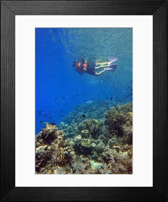 Framed Print : Indonesia Bunaken - Marine life in Coral reef - snorkeling Framed Print : Indonesia Bunaken - Marine life in Coral reef - snorkeling